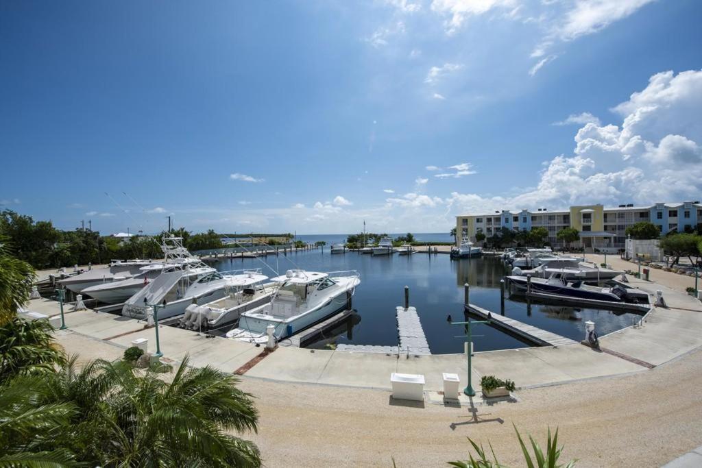 Licensed Mgr - Modern 3/3.5 Villa - Key Largo'S Most Upscale Oceanfront Resort! Exterior photo